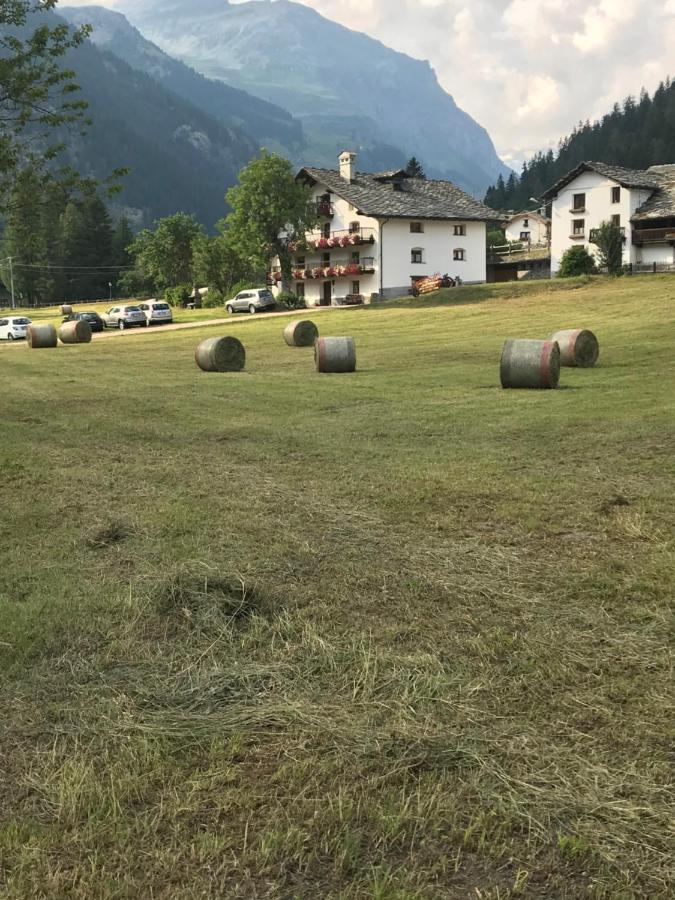 Flora Alpina Apartments-Residenza Verdebjo Gressoney-Saint-Jean Exteriör bild
