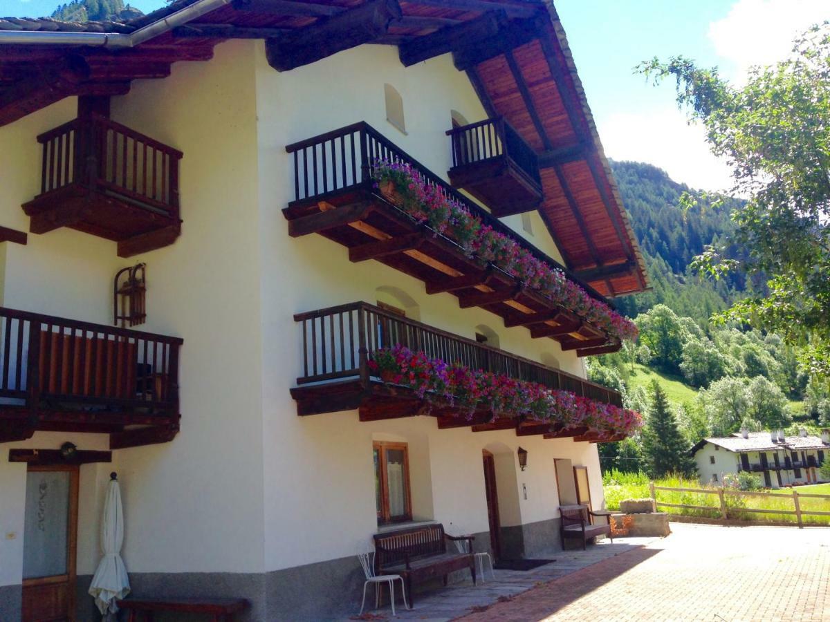 Flora Alpina Apartments-Residenza Verdebjo Gressoney-Saint-Jean Exteriör bild