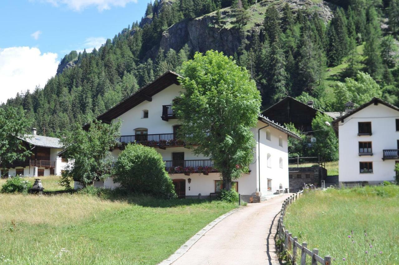 Flora Alpina Apartments-Residenza Verdebjo Gressoney-Saint-Jean Exteriör bild
