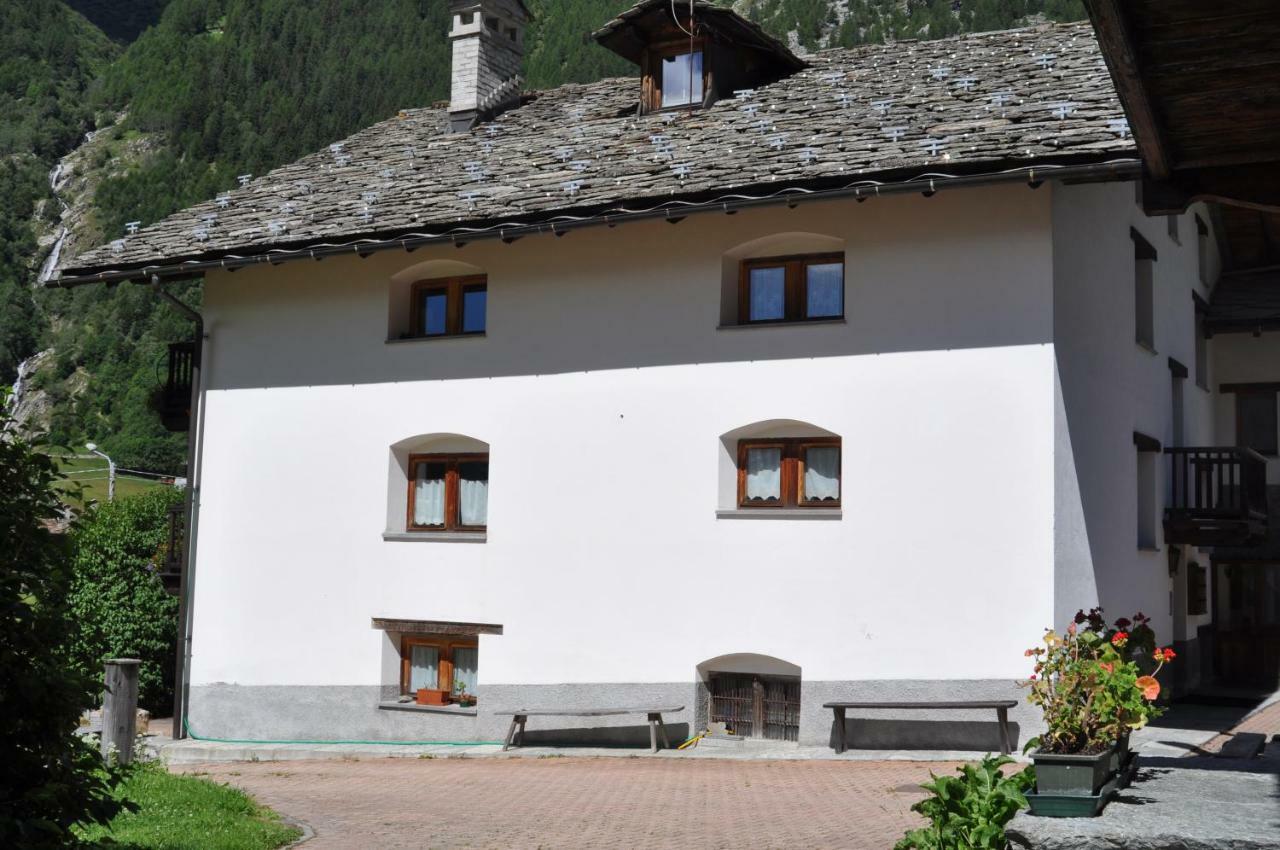 Flora Alpina Apartments-Residenza Verdebjo Gressoney-Saint-Jean Exteriör bild