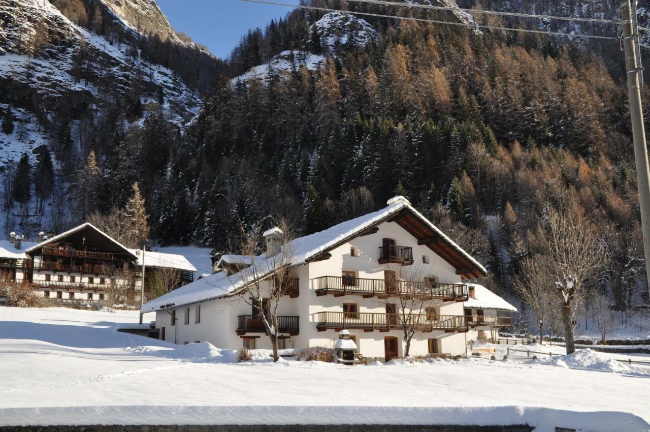 Flora Alpina Apartments-Residenza Verdebjo Gressoney-Saint-Jean Exteriör bild